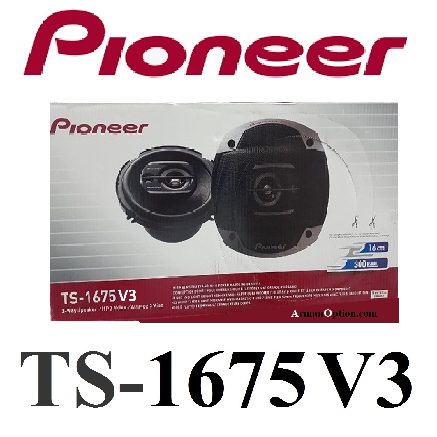 alt=pioneer TS-1675V3